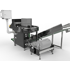 Automatic Bagging Machine