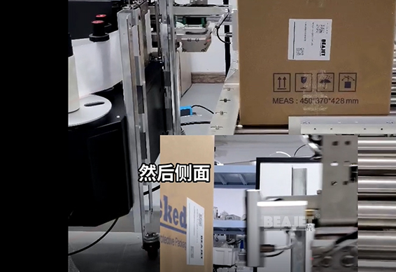 Dual-Label Print and Apply Labeling Machine for Double-Sided Barcode Visibility in Carton Sorting